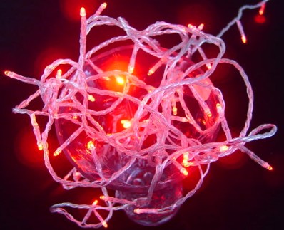  made in china  Red 50 Superbright LED String Lights Static On Clear Cable  factory