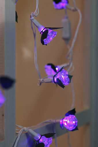 FY-20045 LED de flori de Craciun ieftine mic a condus lumini bec